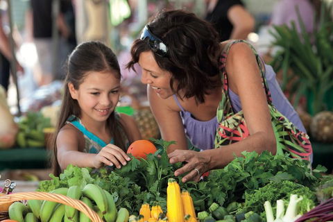 Sunshine Coast Eumundi Markets Return Minibus Transfer - Tourism Brisbane 4