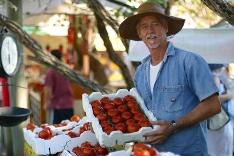 Sunshine Coast Eumundi Markets Return Minibus Transfer - Tourism Brisbane 5
