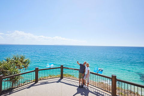 Noosa Everglades Serenity Cruise & Highlights Tour Inc. Lunch & Cruise - Tourism Brisbane 3