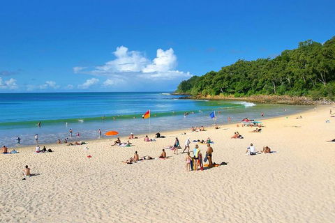 Noosa Everglades Serenity Cruise & Highlights Tour Inc. Lunch & Cruise - Tourism Brisbane 4