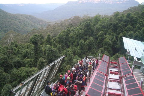 Blue Mountains Private Tour With Wildlife Park And River Cruise - Brisbane Tourism 1