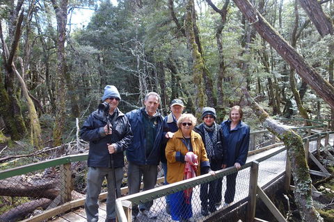 Blue Mountains Private Tour With Wildlife Park And River Cruise - Brisbane Tourism 2