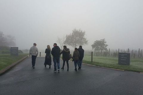 Chauffeur Driven Yarra Valley Group Wine Tour - Up To 7 - Tourism Brisbane 4