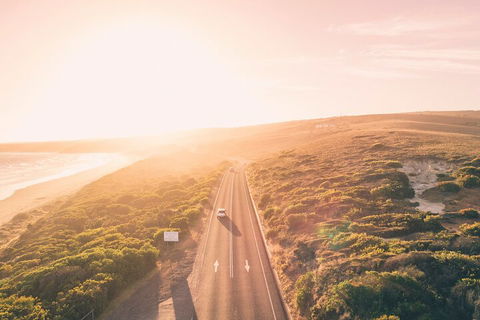 Great Ocean Road & Grampians National Park Tour - 3 Days, 2 Nights - Tourism Brisbane 1