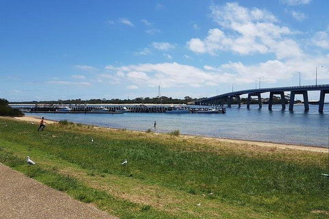 Phillip Island Penguin And Wildlife Tour - Tourism Brisbane 4