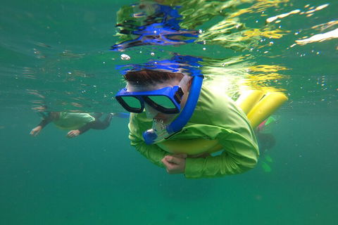 Manly Snorkel Trip And Nature Walk With Local Guide - Tourism Brisbane 5