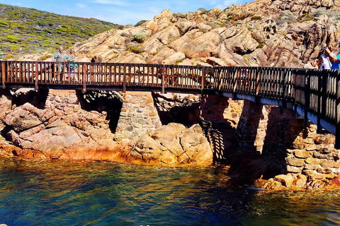 Margaret River (Private) Day Tour - Brisbane 4u 3
