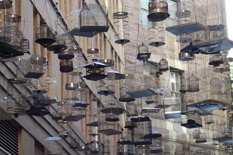 Sydney Scavenger Hunt: Inside Sydney - Tourism Brisbane 0
