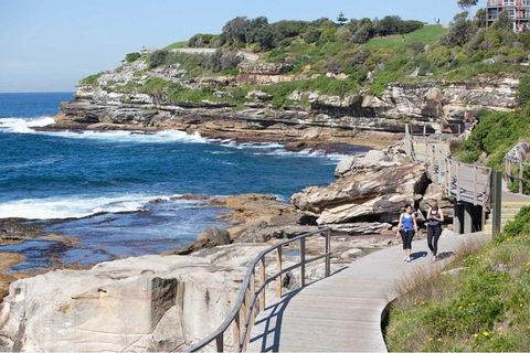 Private Tour: Sydney City Highlights - Tourism Brisbane 2