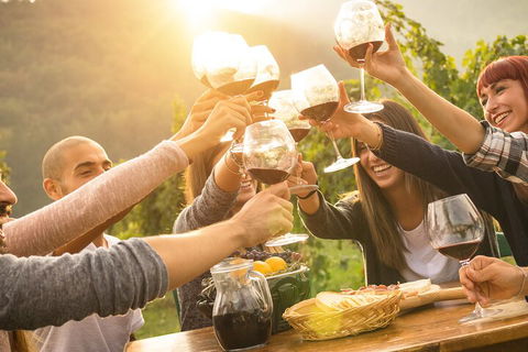 Yarra Valley, Dandenong Ranges Inc. Lunch With Wine,plus Morning Tea,chocolate - Tourism Brisbane 4