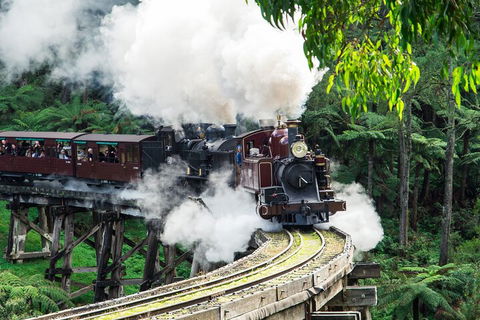 Puffing Billy And Healesville Sanctuary Scenic Tour - Tourism Brisbane 1