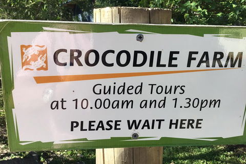 Cairns City Tour - Tourism Brisbane 5