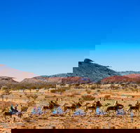 Alice Springs Camel Tour - Tourism Brisbane