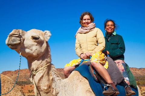 Alice Springs Camel Tour - Tourism Brisbane 3
