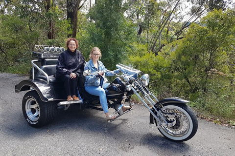 Blue Mountains 1-Hour Trike Tour Of Three Sisters - Tourism Brisbane 1