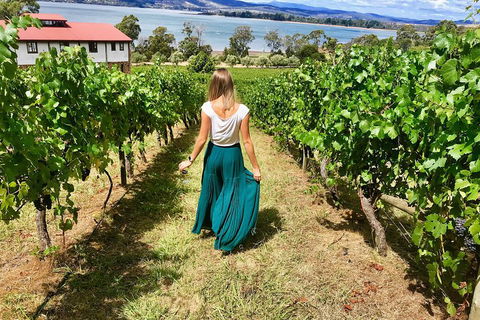 Tamar Valley Wine Tour With Lunch - Tourism Brisbane 2