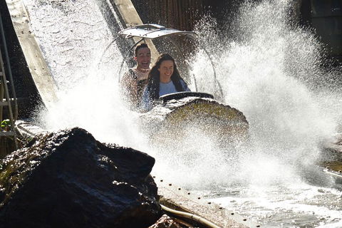 Theme Park Transfer From Brisbane - Tourism Brisbane 1