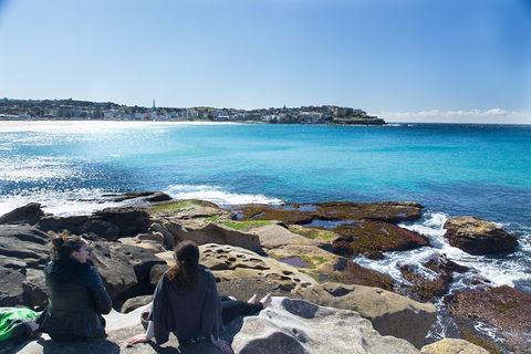 Kiama South Coast Tour With Coastline, Farmlands, Aboriginal Engravings & Lunch - Tourism Brisbane 2