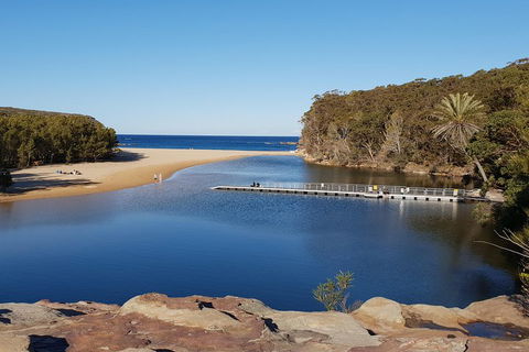 Much More To See Of Sydney Private Tour - Tourism Brisbane 0