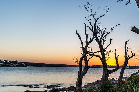 Much More To See Of Sydney Private Tour - Tourism Brisbane 5