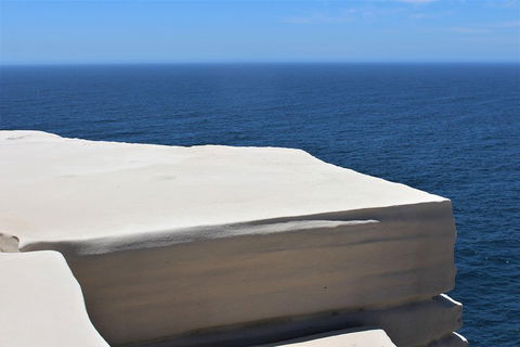 Royal National Park Tour - Tourism Brisbane 0