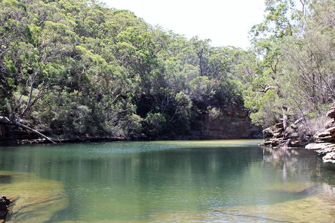 Royal National Park Tour - Tourism Brisbane 5