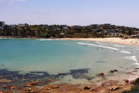 Half Day Manly Beach And More - Brisbane Tourism 2
