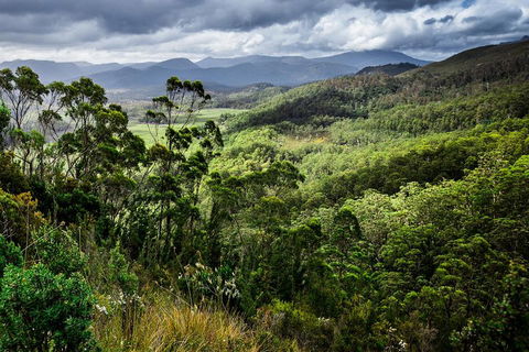 3-Day Tour To The Falls, Mountains, Lake & More Of West Coast Tasmania - Tourism Brisbane 0