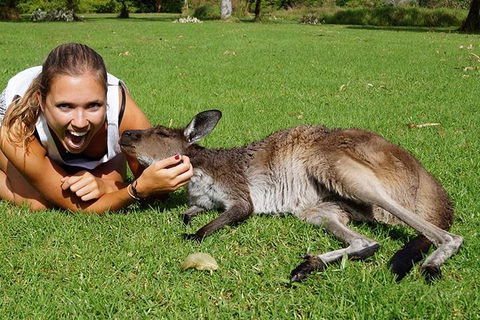 7-Day Tour In Sydney With Airport Pickup - Tourism Brisbane 4