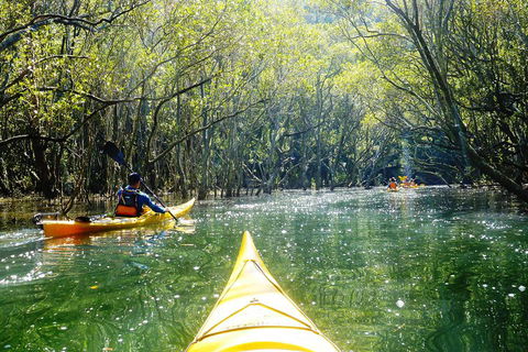 Self-Guided Sydney Middle Harbour Kayak 3 Hour Tour By Double Kayak - Tourism Brisbane 3