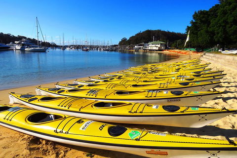 Self-Guided Sydney Middle Harbour Kayak 3 Hour Tour By Double Kayak - Tourism Brisbane 4