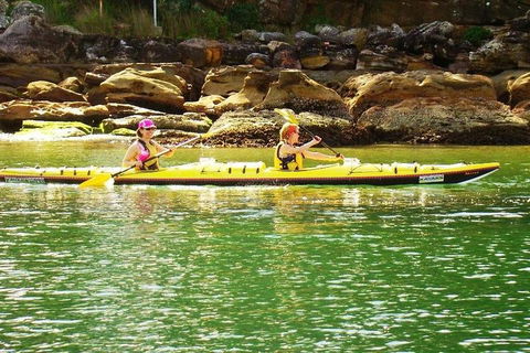 Self-Guided Sydney Middle Harbour Kayak 3 Hour Tour By Double Kayak - Tourism Brisbane 5