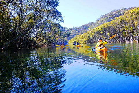 Middle Harbour Mangrove Explorer - Tourism Brisbane 5