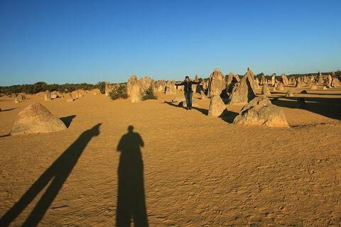 The Pinnacles, Sea And Dunescapes, Bush Reserve And Sunset Day Tour - Tourism Brisbane 5