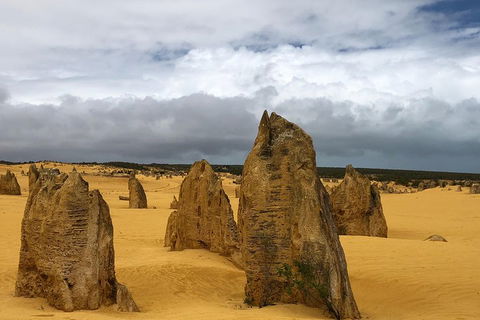 Private Pinnacles Day Tour - Tourism Brisbane 1