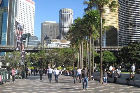 Private City Walking Tour From Your Hotel - Tourism Brisbane 2