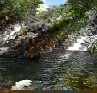 Behana Canyon Rainforest and Waterfall Experience - Tourism Brisbane