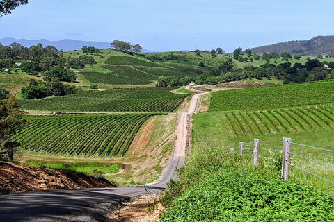 The Complete Hunter Valley Wine Tour Of Pokolbin, Mt View, Lovedale And Rothbury - Tourism Brisbane 0