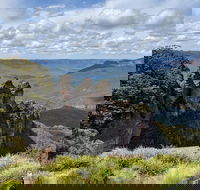 Blue Mountains Private Tour - wild kangaroos waterfalls and The Three Sisters - Tourism Brisbane