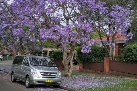 Sydney Secrets & Bondi Beach Private 4 Hr Morning With Personalised Sydney Tours - Tourism Brisbane 0