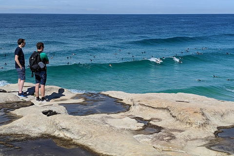 Sydney Secrets & Bondi Beach Private 4 Hr Morning With Personalised Sydney Tours - Tourism Brisbane 2