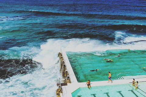 Sydney Secrets & Bondi Beach Private 4 Hr Morning With Personalised Sydney Tours - Tourism Brisbane 4