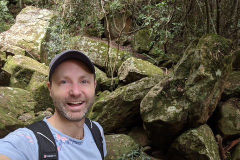 Australian Wildlife & Waterfalls Private Tour With 'Personalised Sydney Tours' - Tourism Brisbane 4