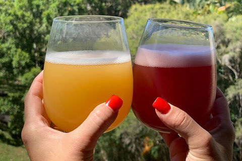 Hipster Sipster Brewery And Distillery Tour - Brisbane Tourism 3