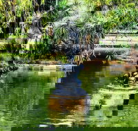 Discover Sydney - Botanic - Tourism Brisbane