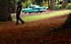 '56 Chevrolet 6-Hour Dandenong Ranges Classic Car Private Tour (4 Person) - thumb 4
