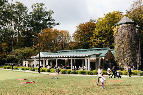 '56 Chevrolet 6-Hour Dandenong Ranges Classic Car Private Tour (4 Person) - Tourism Brisbane 5