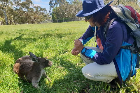 Mount Lofty Hike And Cleland Wildlife Park Day Trip From Adelaide - Tourism Brisbane 1