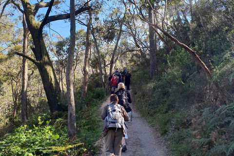 Mount Lofty Hike And Cleland Wildlife Park Day Trip From Adelaide - Tourism Brisbane 3