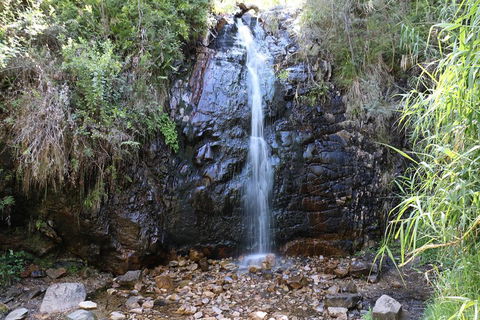 Mount Lofty Hike And Cleland Wildlife Park Day Trip From Adelaide - Tourism Brisbane 4